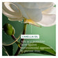 MATRIX BIOLAGE Smooth Proof Shampoo